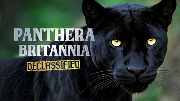 Panthera Britannia Declassified
