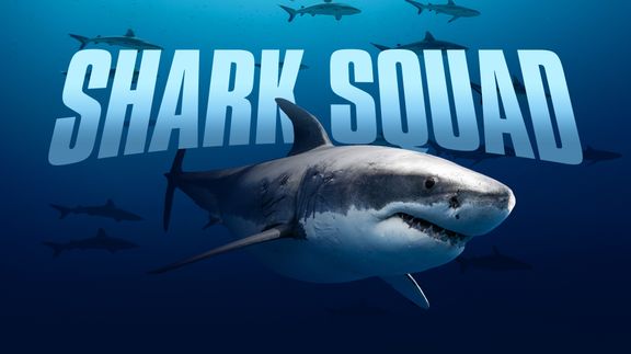 Shark Squad