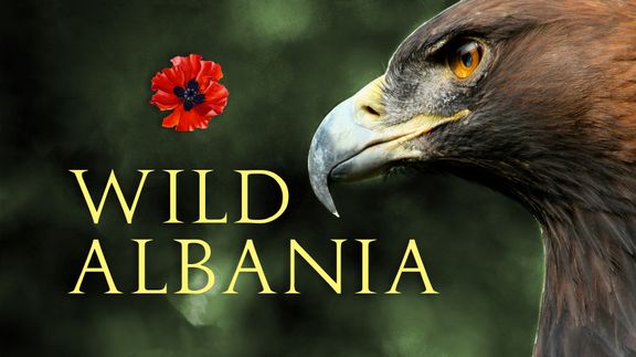 Wild Albania