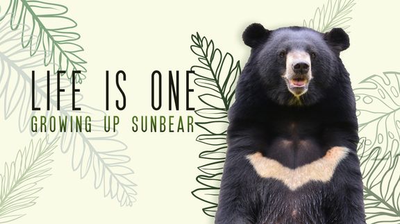 Life is One: Growing Up Sun Bear