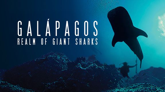 Galapagos: Realm of Giant Sharks