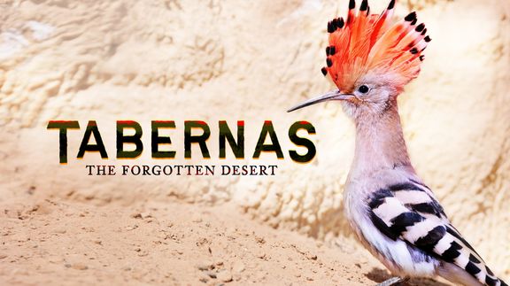 Tabernas: Forgotten Desert