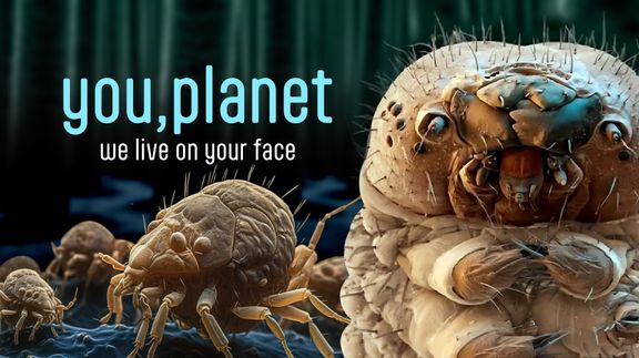 You, Planet: We Live On Your Face