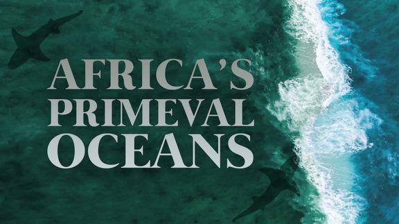 Africa's Primeval Oceans
