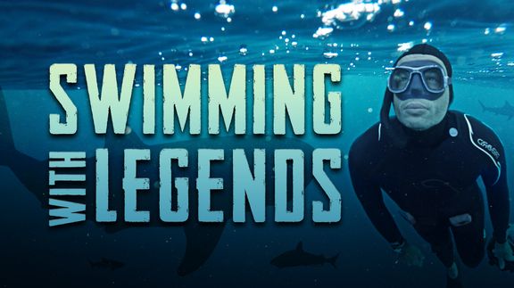 Swimming with Legends