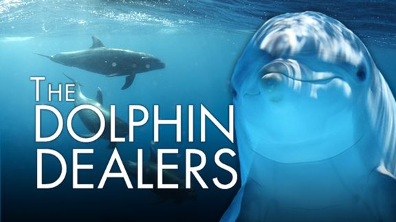 The Dolphin Dealer