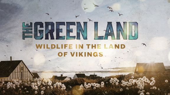 The Green Land: Wildlife in the Land of Vikings