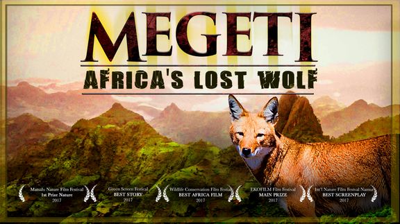Megeti: Africa's Lost Wolf 4K