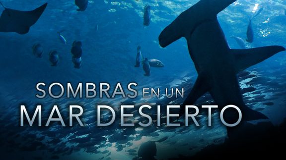 Sombras en un Mar del Desierto