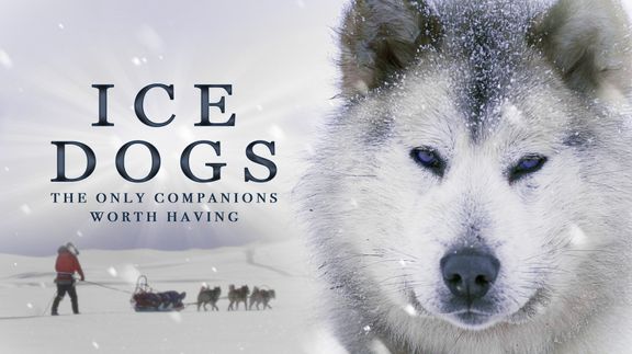 Ice Dogs: The Only Companions Worth Having 4K