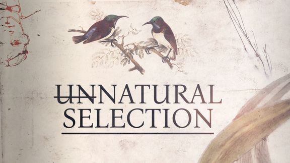 Unnatural Selection 4K