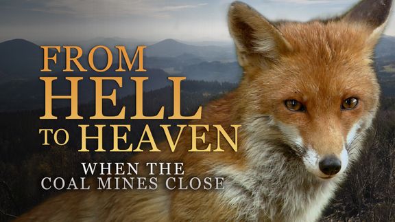 From Hell to Heaven: When the Coal Mines Close