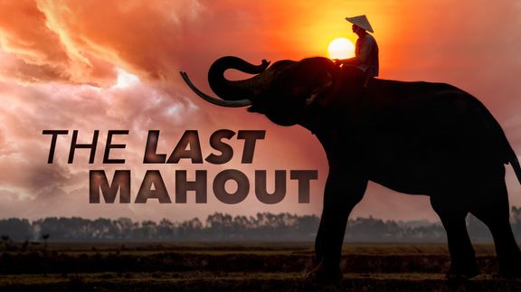 The Last Mahout