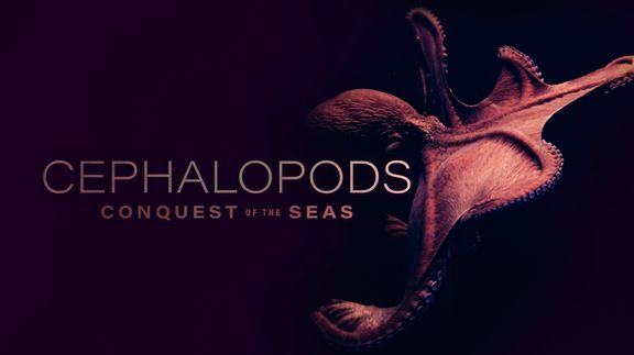 Cephalopods: Conquest of the Seas