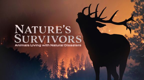 Nature's Survivors