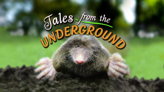 Tales from the Underground