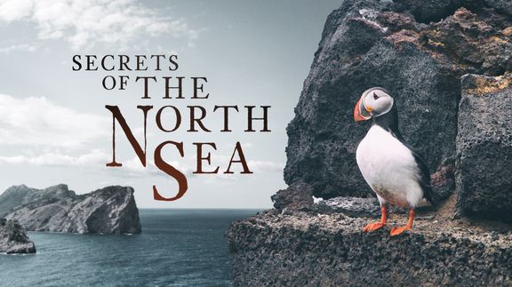 Secrets of the North Sea