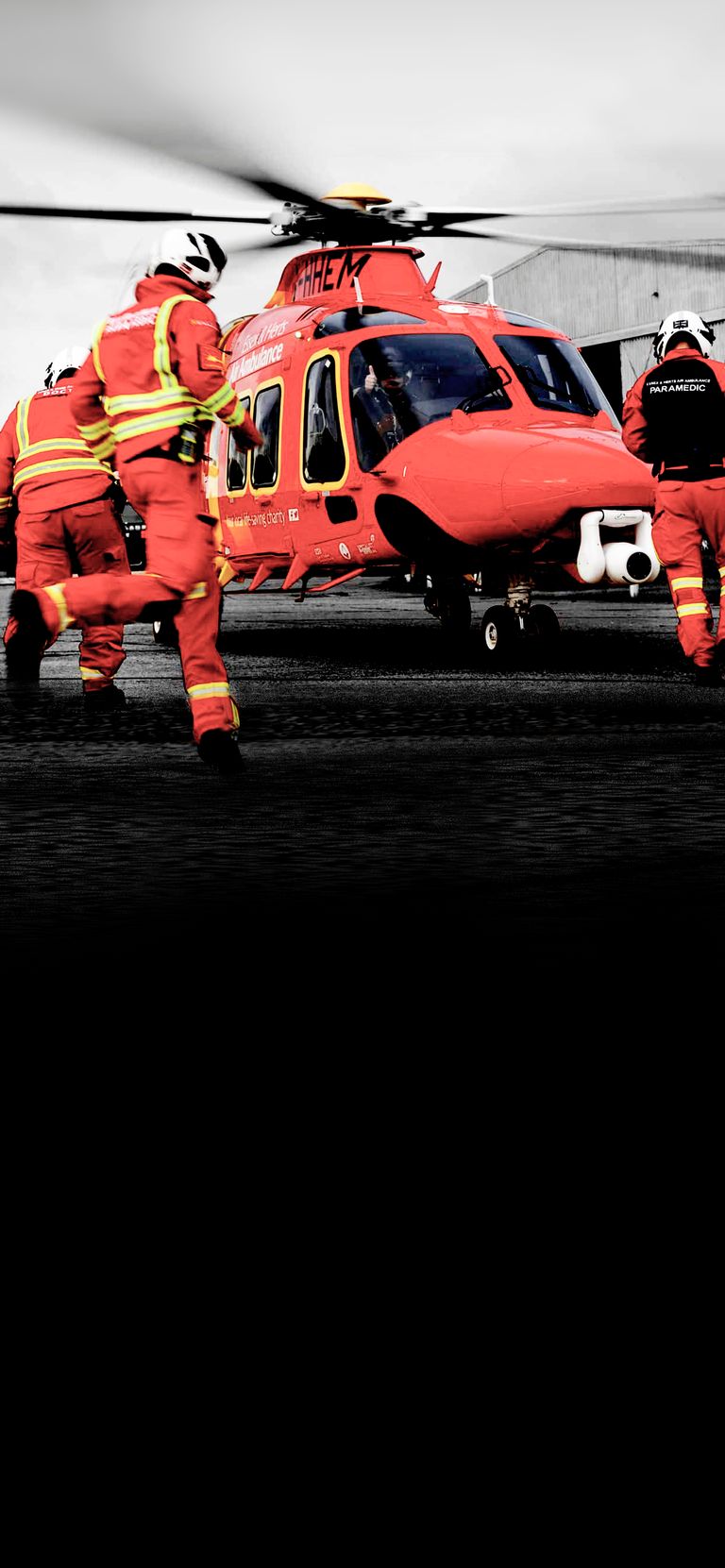 Trauma Investigators