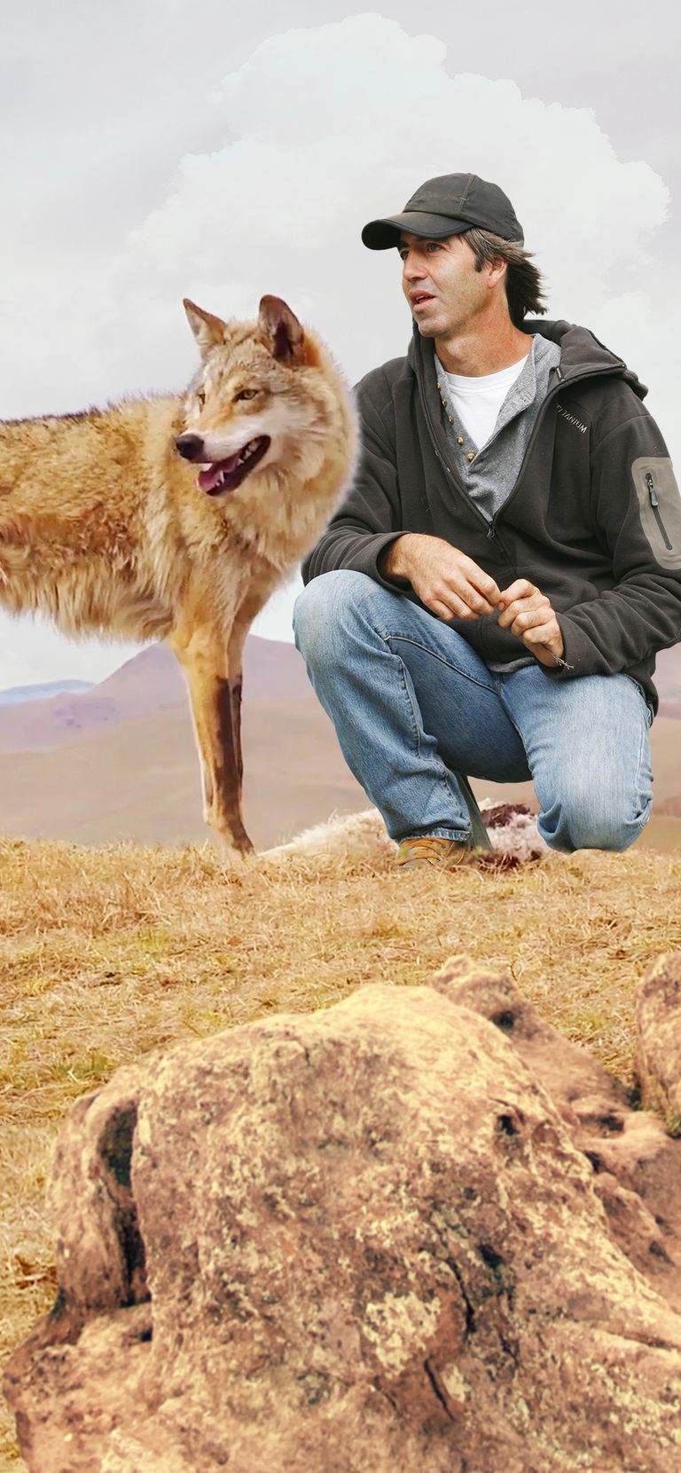 Wolves Unleashed