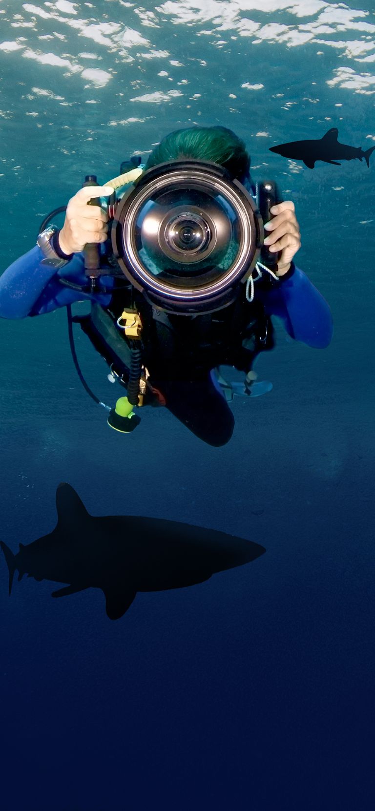 Shark Shooters