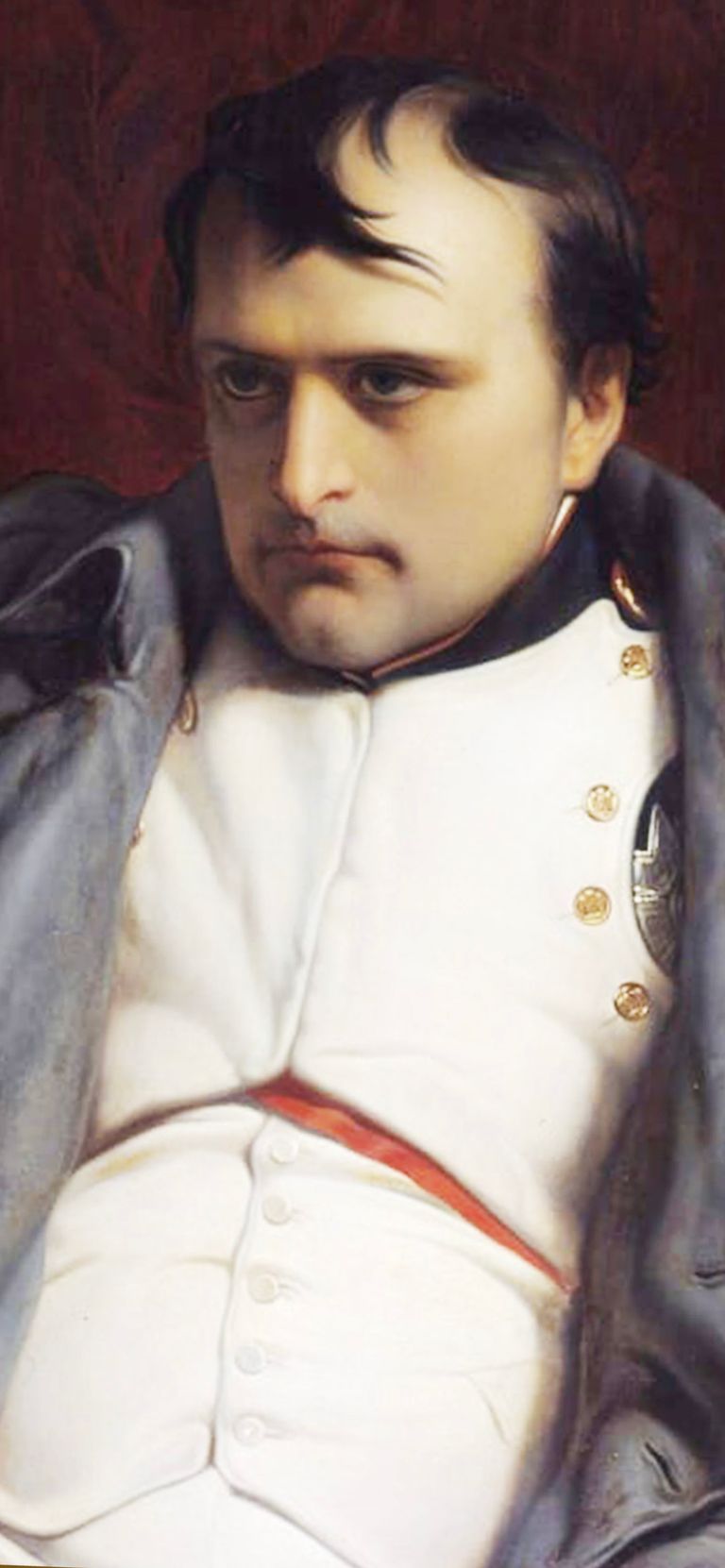Napoleon: Rise and Fall