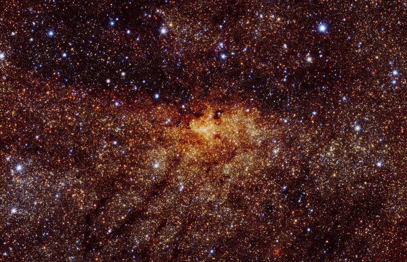 M87&#42; and Sagittarius A&#42;&#58; Picturing Black Holes