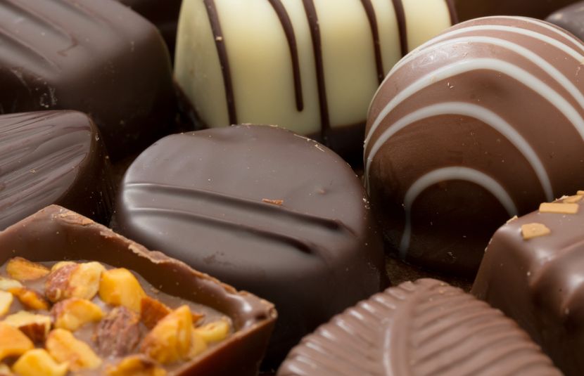 The Rich Story of Chocolate from Tree to Taste Buds