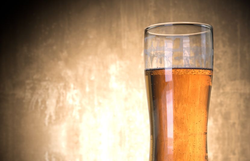 Beer Comes to the U&#46;S&#46;A&#46; to Stay&#58; A Frothy Tale of Migration and Innovation